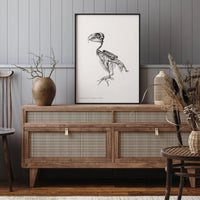 CHRYSOTIS BRAZILIENSIS | 30x40cm | BLACK ALU FRAME